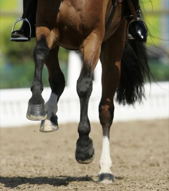 Источник фото сервис Яндекс.Картинки