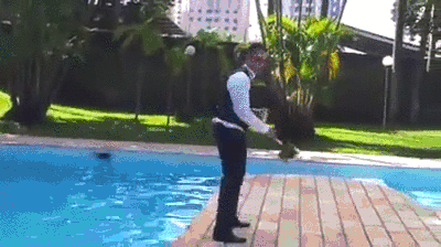 (гиф анимация из открытых источников)