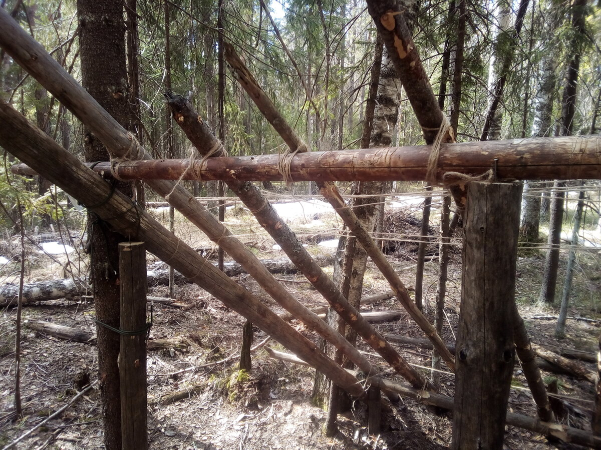 Не пью и не ем  Строю дом в лесу | Уйду в лес | Дзен