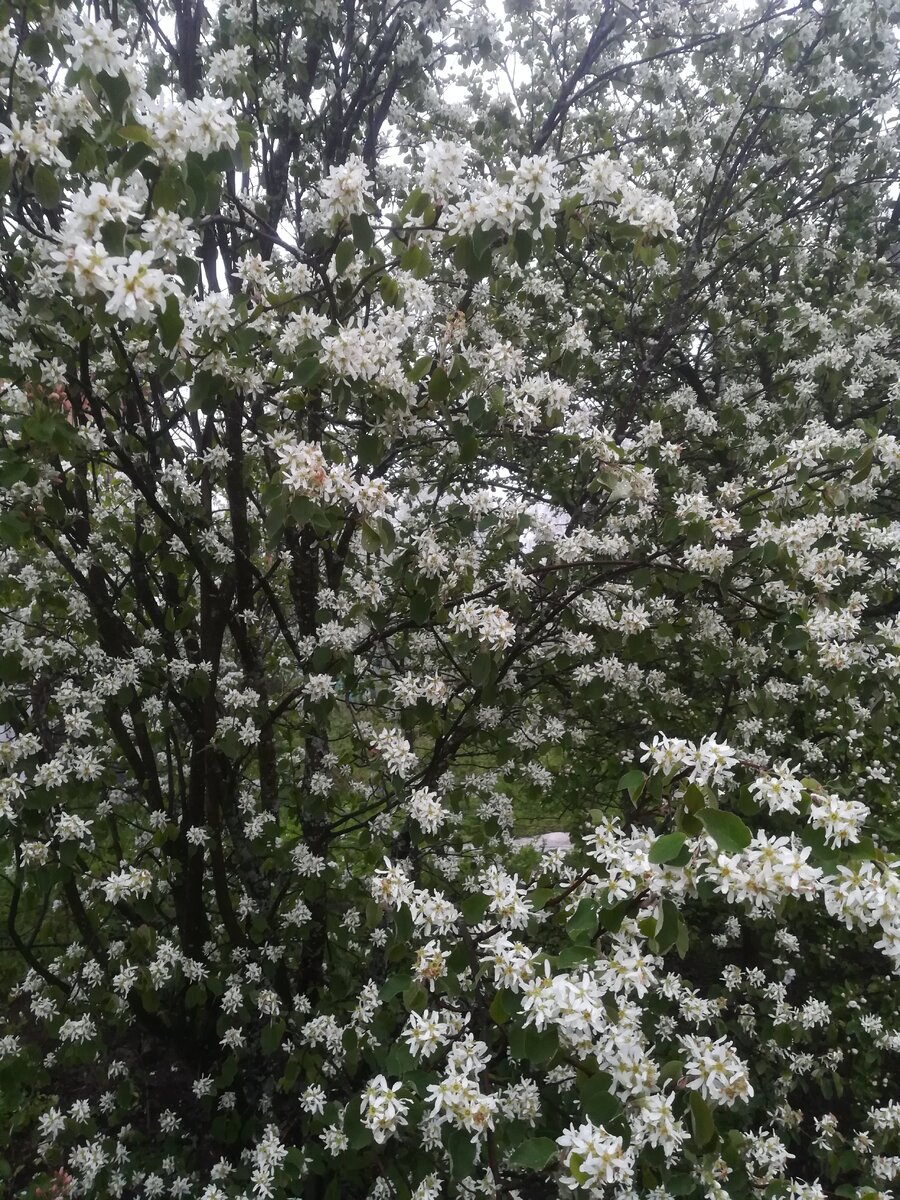 фото: собственное