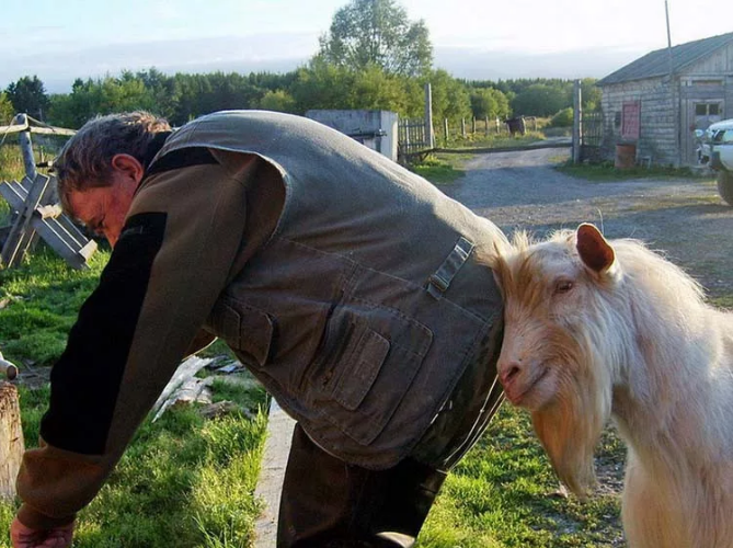 Фото взято с сайта "Яндекс.Картинки"