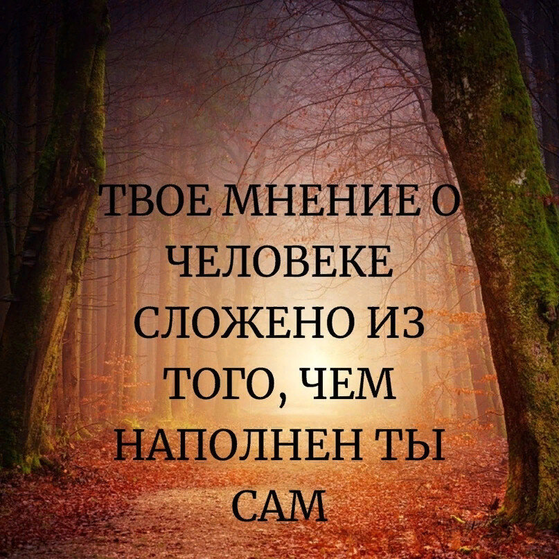 Из того что они. Мнение других людей цитаты. Фразы про мнение других людей. Афоризмы про мнение людей. Цитаты про мнение других.