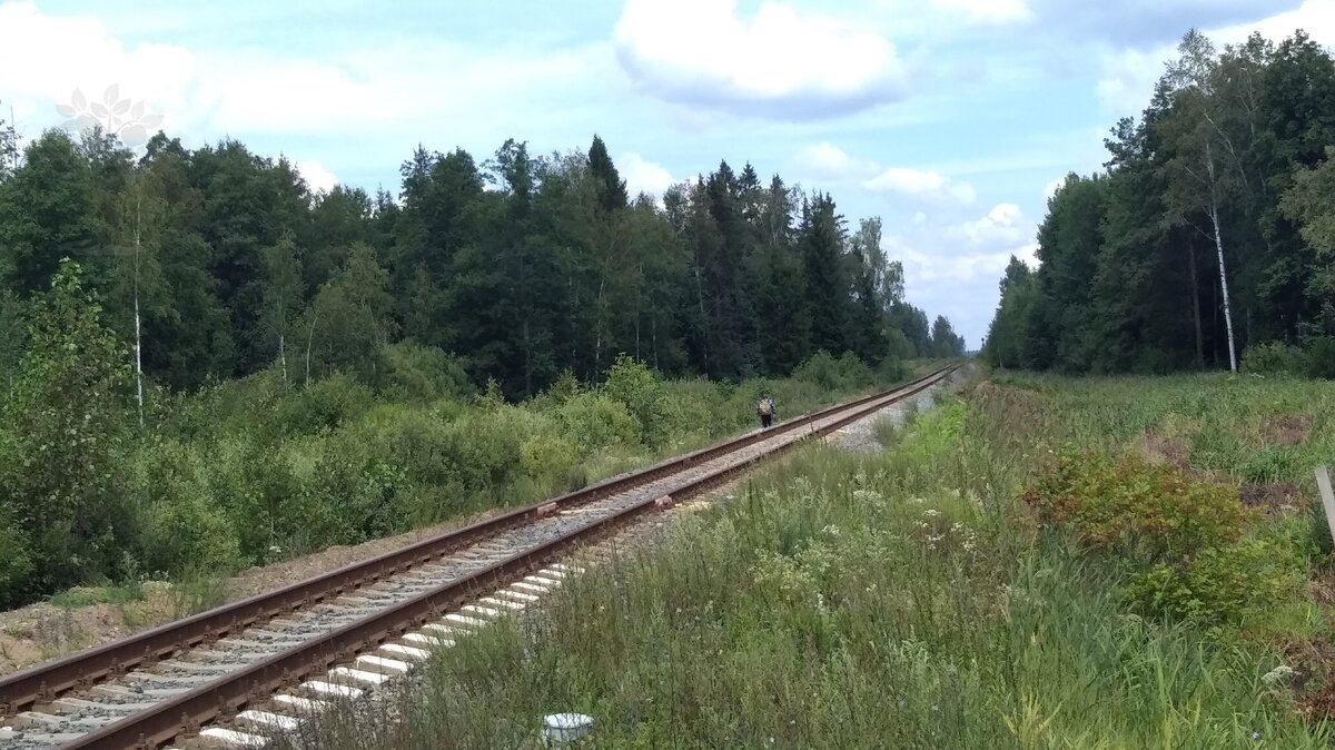 На дальней станции сойду...