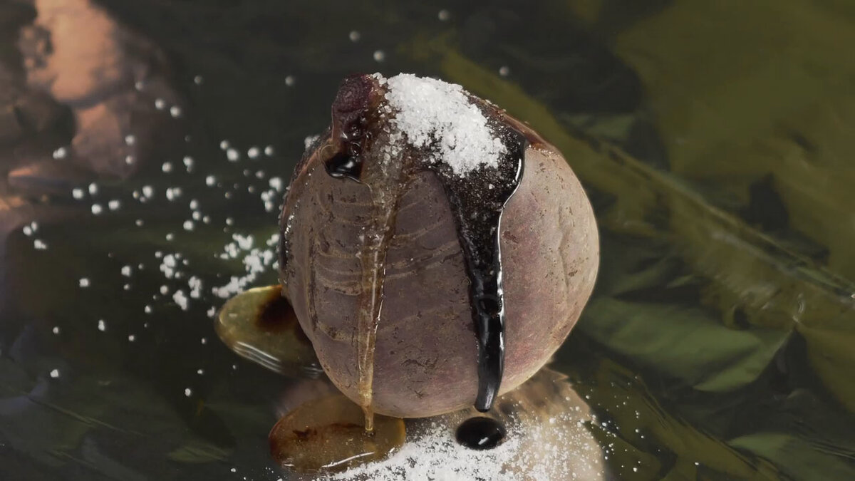 Запекаем при температуре 180-190 градусов ровно 1 час.