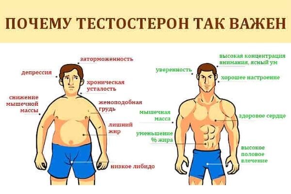 Симптомы пониженного тестостерона у мужчин