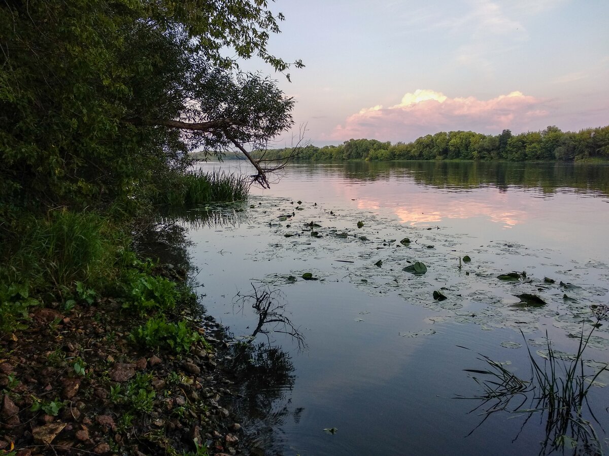 Рыбалка в подмосковье