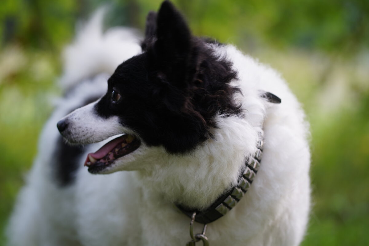 Личное фото от 08.08.2019 г.