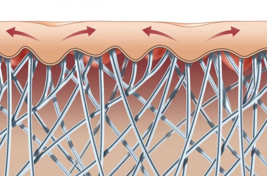 Коллагеновые волокна картинка