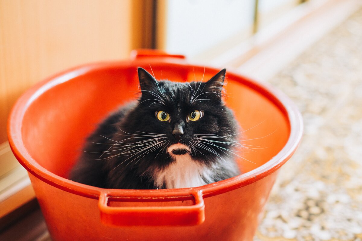 Source: unsplash.com