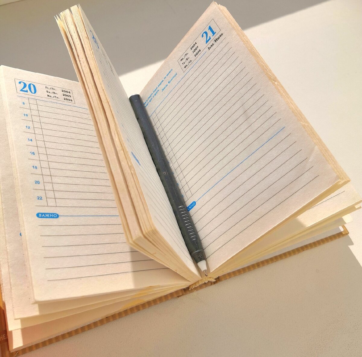 Художественное изображение дневника для записей