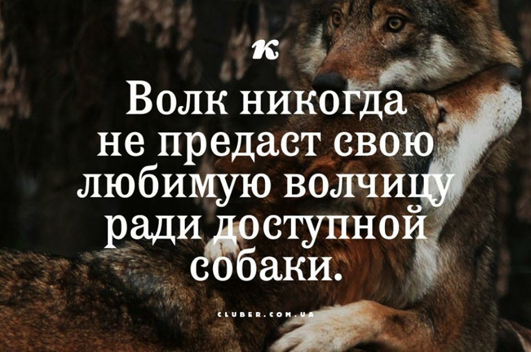 #мудрыемысли1