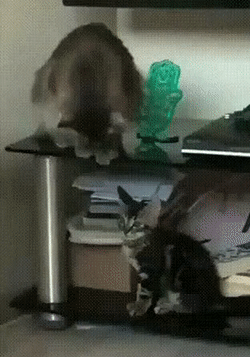 Изображение представлено в рамках свободного цитирования