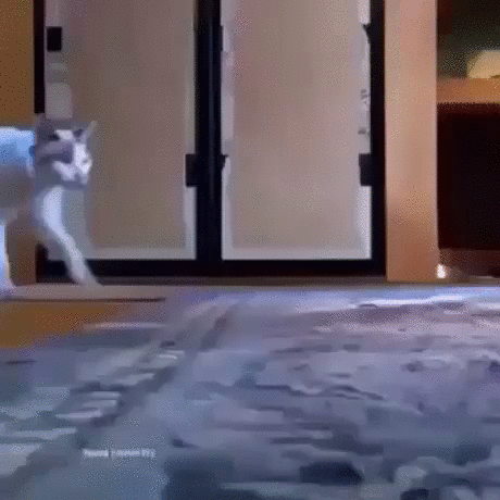 Что за мистика!