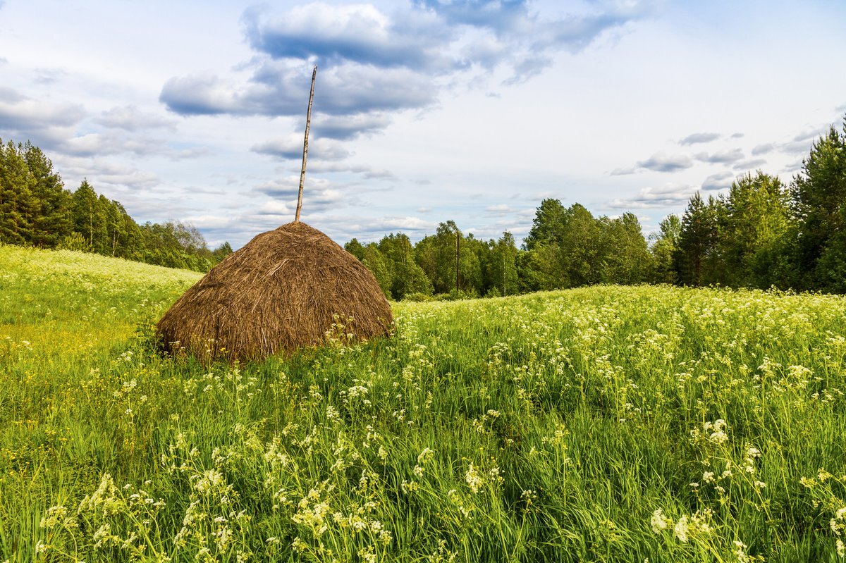 Сенокос. Скирда омёт копна. Деревня поле сенокос речка. Сенная копна. Стог сена Скирда.