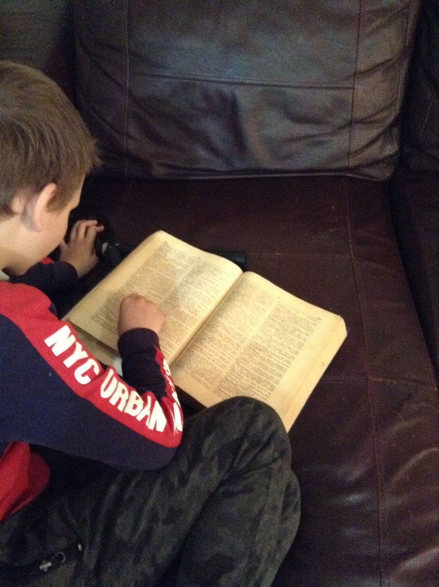 слово отгадал, а значение объяснить не смог - полез в словарь :)