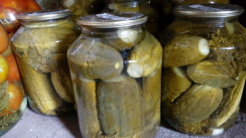 Консервированные огурцы. Фото автора