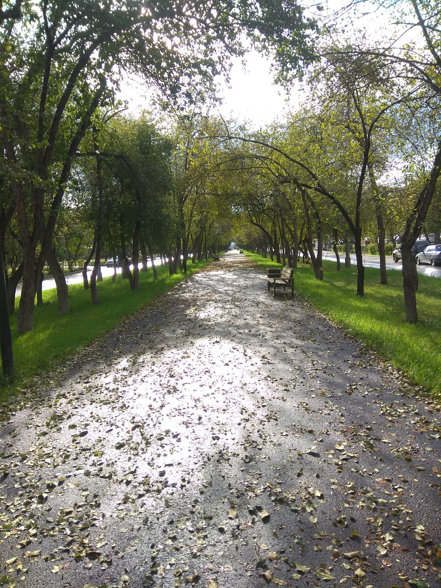 Осенняя дорога. Фото из личного архива автора