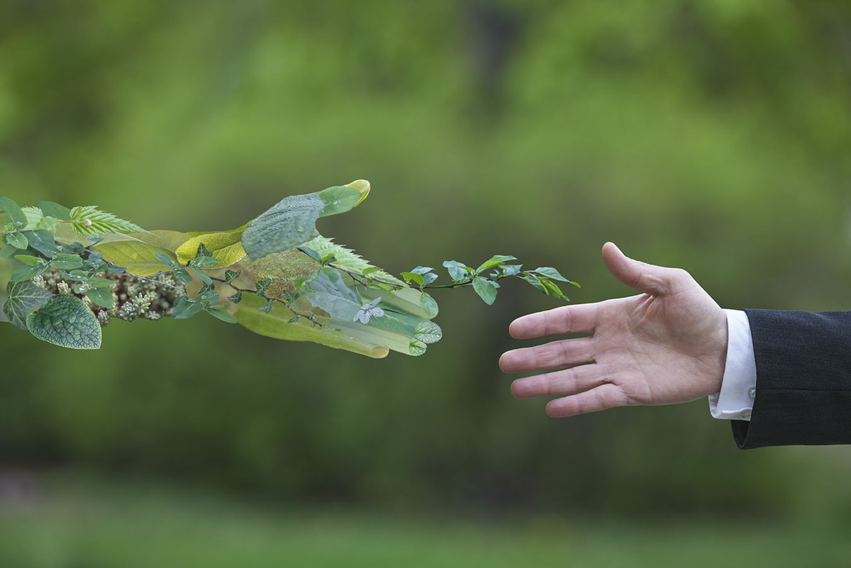 Исследование о природе. Environmentalism. Kering ecological.