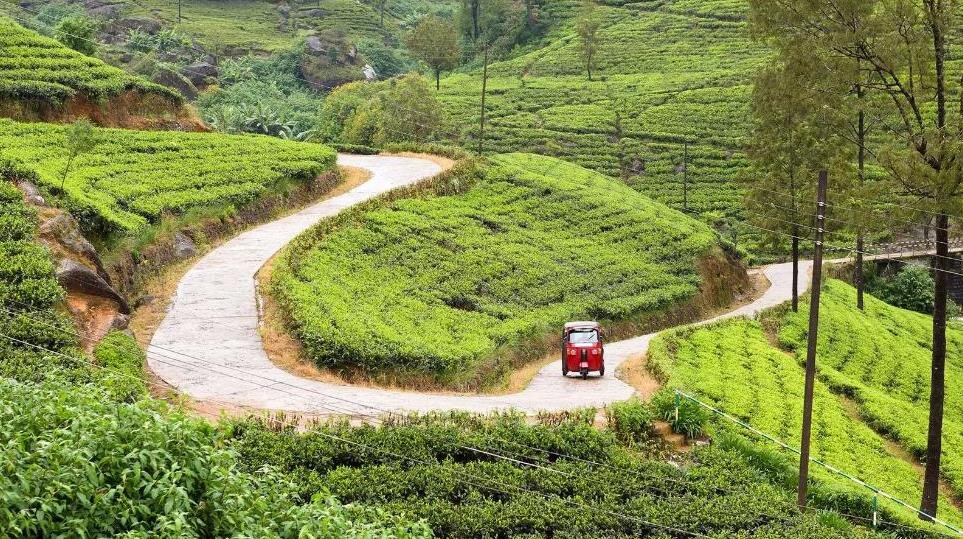 Фото - proxyminder/Getty Images