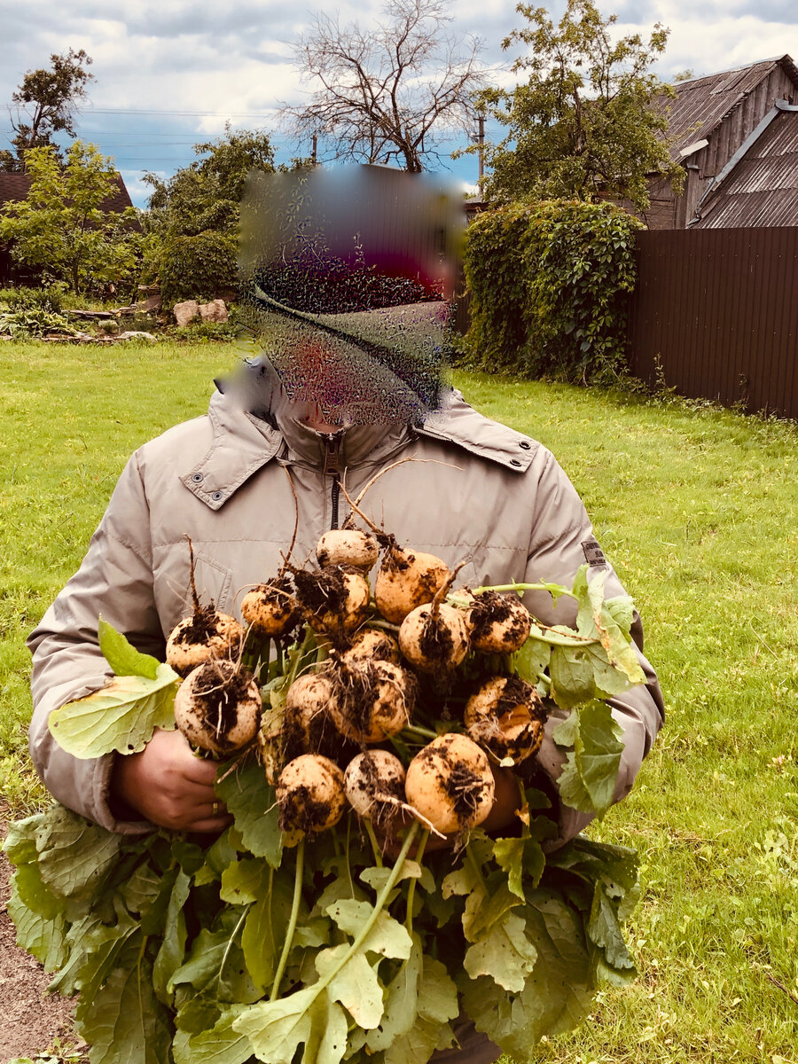 Урожай нашего первого лета в 2019 году. Фото автора. 