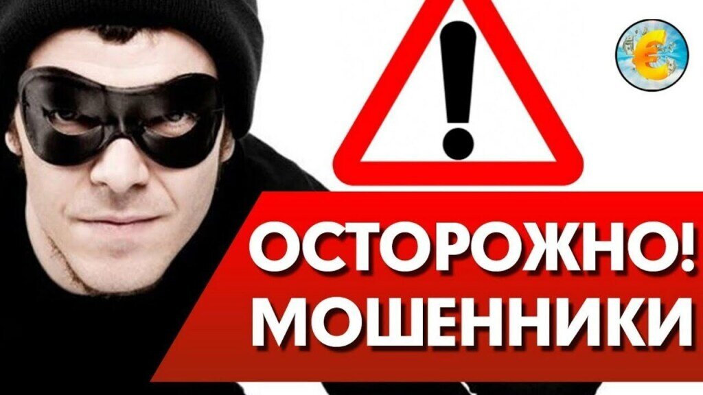 Фото взято из свободных источников