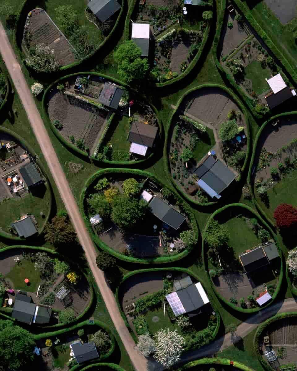 Фото: открытые источники 