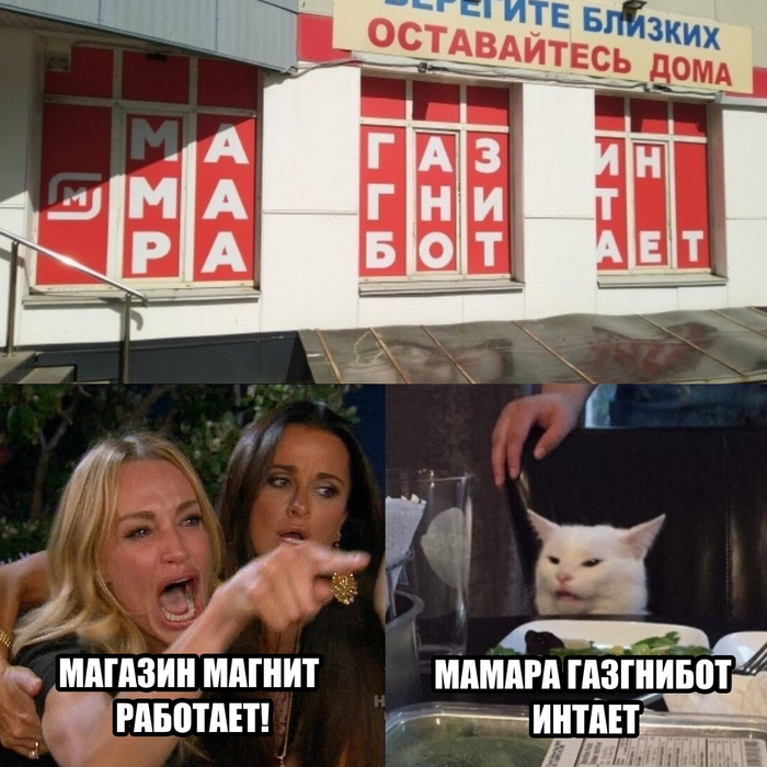 Две женщины орут на мою кошку Пикабу