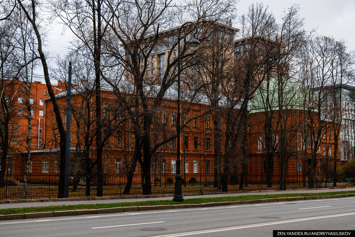 Санкт-Петербург сейчас и в прошлом. Каким был Васильевский остров и какой  он теперь - сделал сравнительные фотографии | Путешествия и всего по  чуть-чуть | Дзен