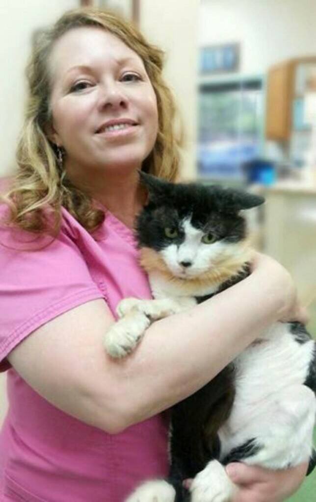 Лесли и Самуил. Источник фото: https://www.portaldoanimal.org/gatinho-que-viveu-durante-2-anos-negligenciado-em-jaula-de-transporte-foi-finalmente-resgatado/