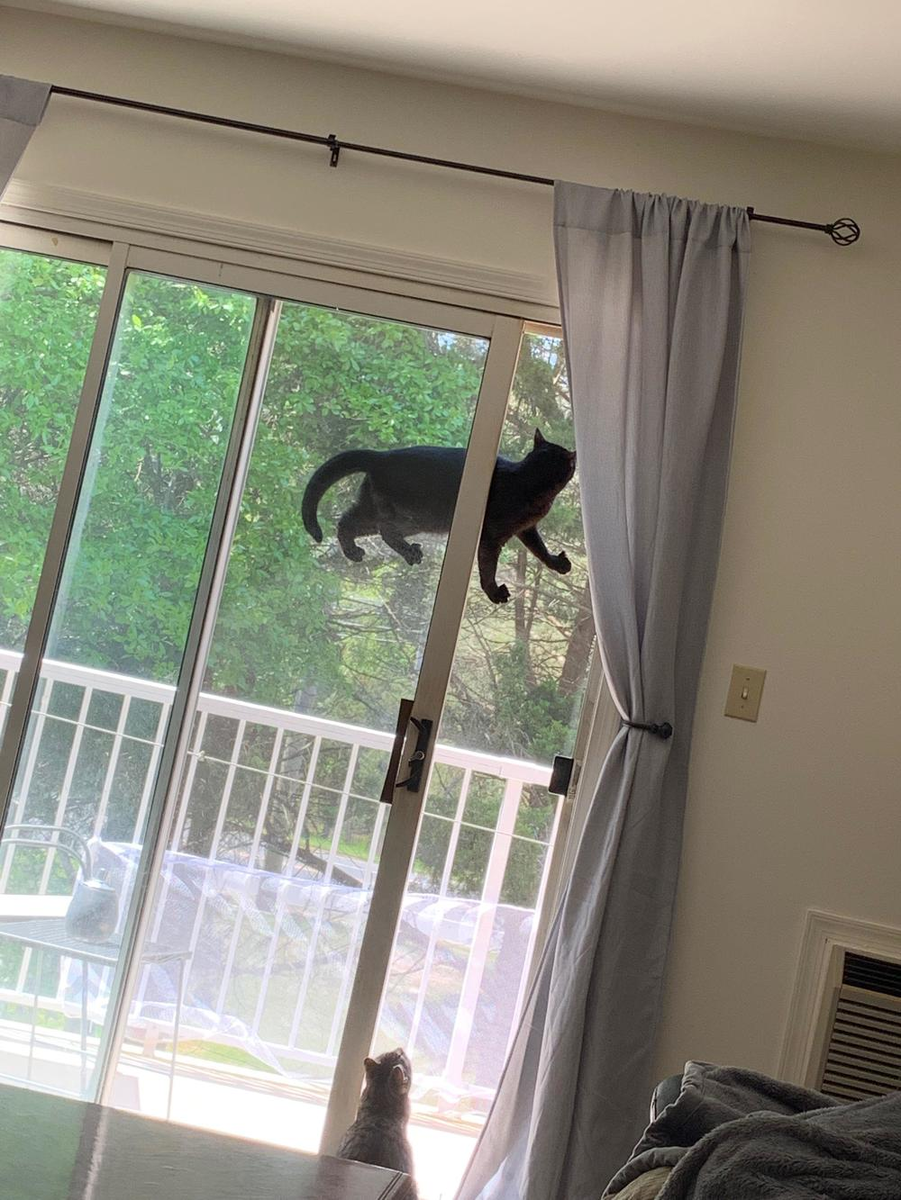 Источник https://likeyou.io 