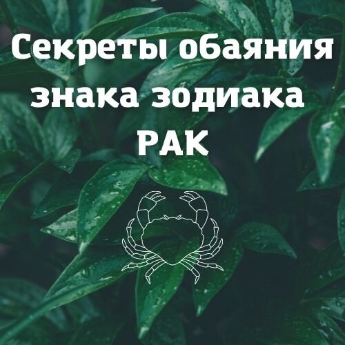 мой фотоколлаж