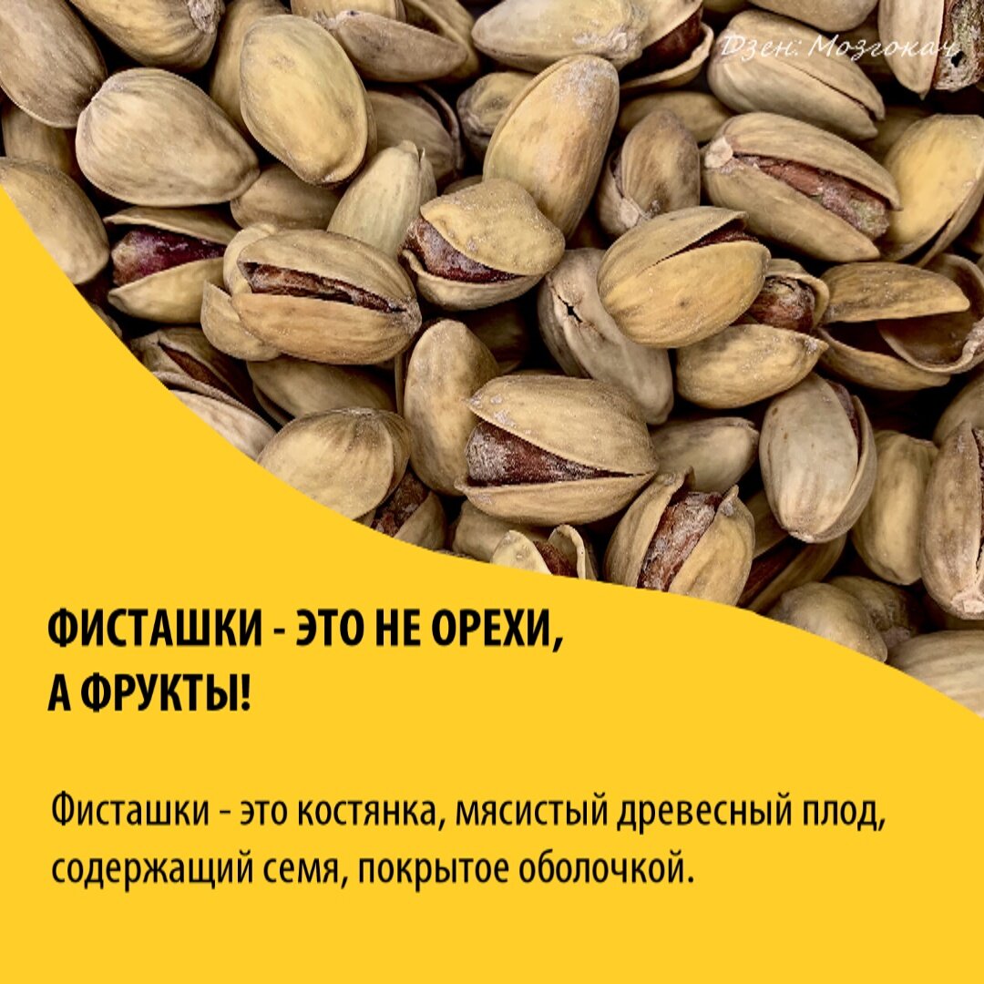 Сиповка, королек, мутовка: отличия женских половых органов