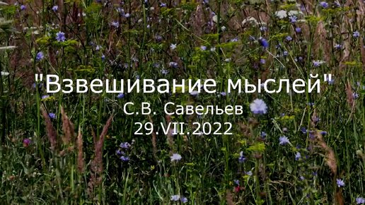 С.В. Савельев. Взвешивание мыслей - [20220729]