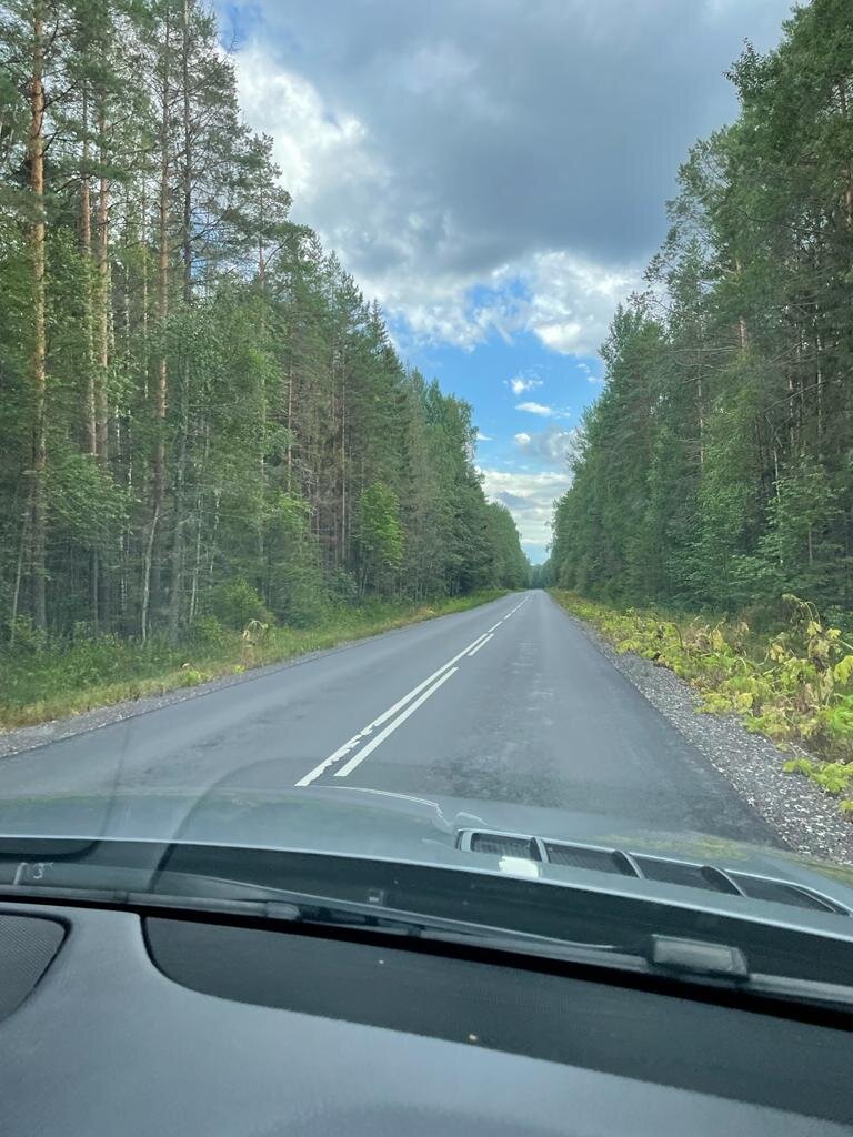 М11 Нева, свернули на Великий Новгород.