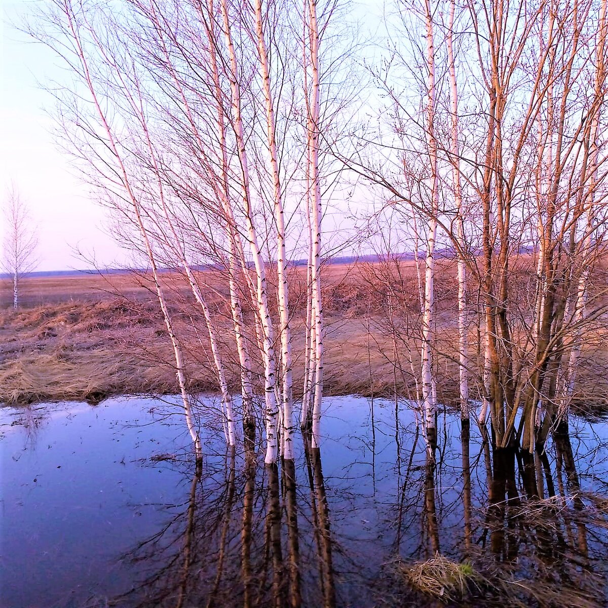 Апрель. Работа О. Камаловой.