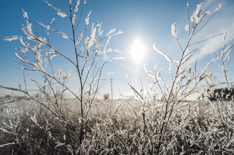 © ФОТО: ИД «ВОЛГОГРАДСКАЯ ПРАВДА» / СЕРГЕЙ КАШИРСКИЙ / АРХИВ.