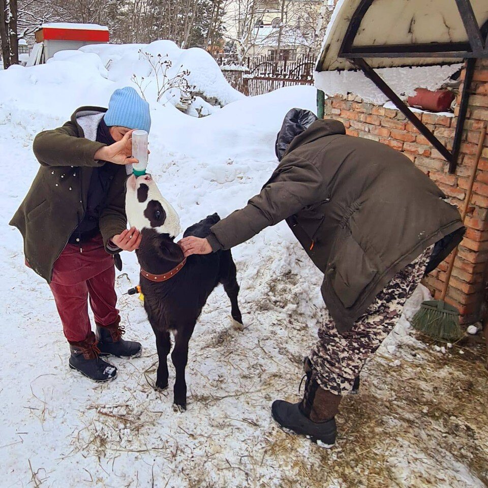     Фото: Центр реабилитации диких животных