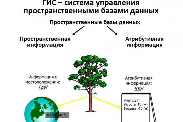    Фото: Пресс-служба Государственного музея-заповедника "Куликово поле"