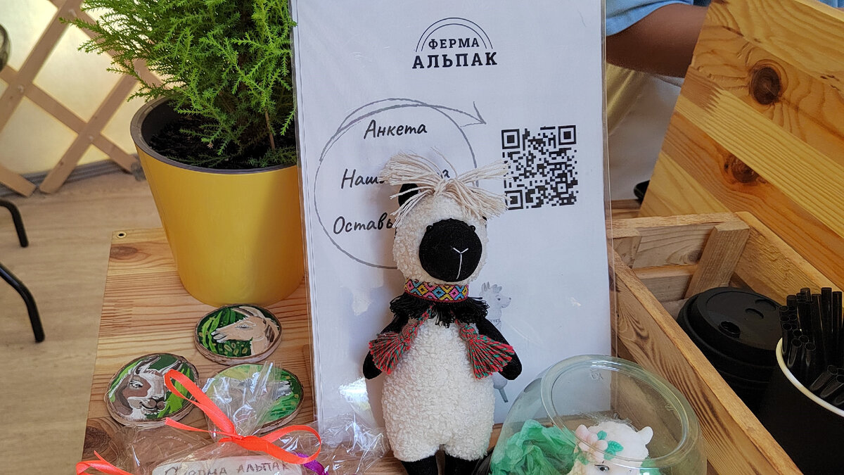 Альпака юля в архызе табличка фото Ферма альпак в Архызе: сколько стоит, животные и впечатления Кавказская пленница