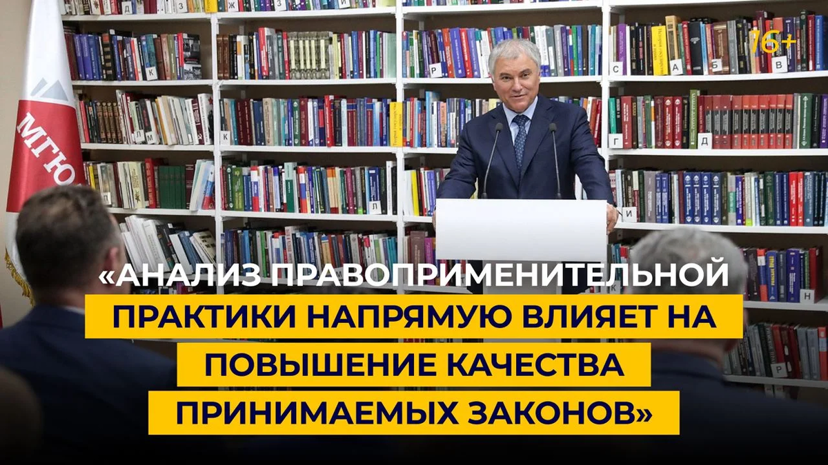 Вячеслав Володин о контроле за исполнением законов | Дилетант о ...