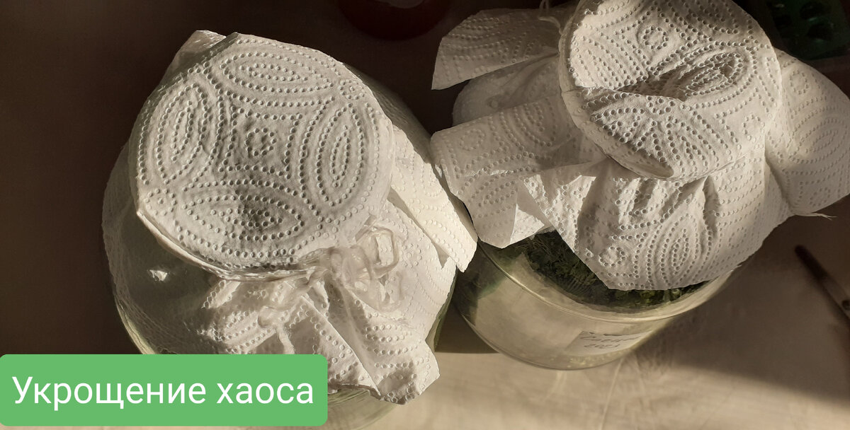 Банки с травами под бумажными полотенцами