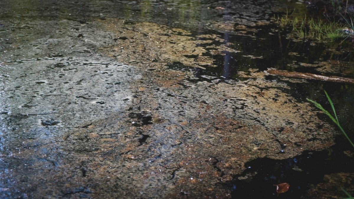     Рыбак из Сургута записал видеообращение и опубликовал в соцсетях о загрязнении реки. Он рассказал, что отправился ловить рыбу в деревню Сайгатина Сургутского района. Однако там его ждал сюрприз: в воде повсюду плавали фекалии.