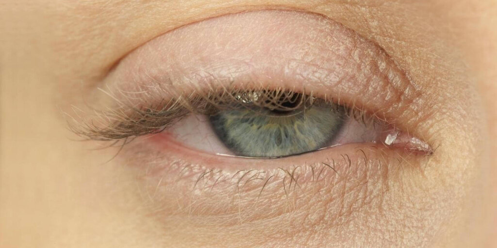 "В пути шофер-дальнобойщик..."