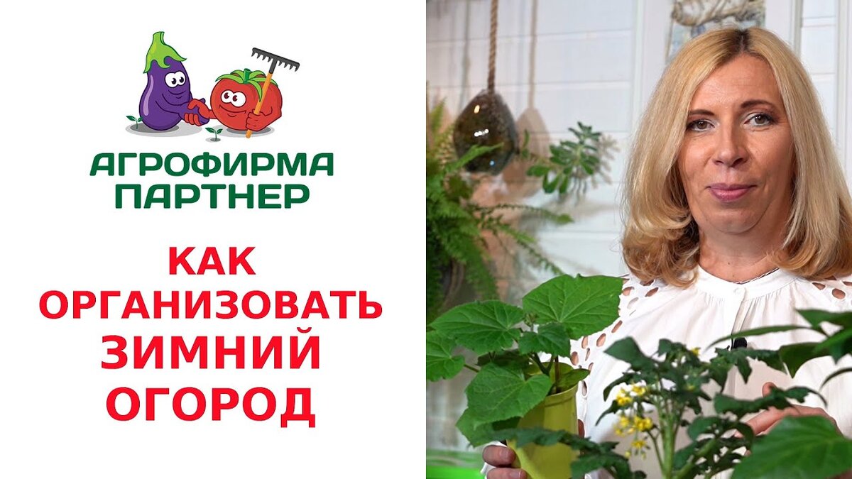 Высокие грядки - из чего, зачем и как