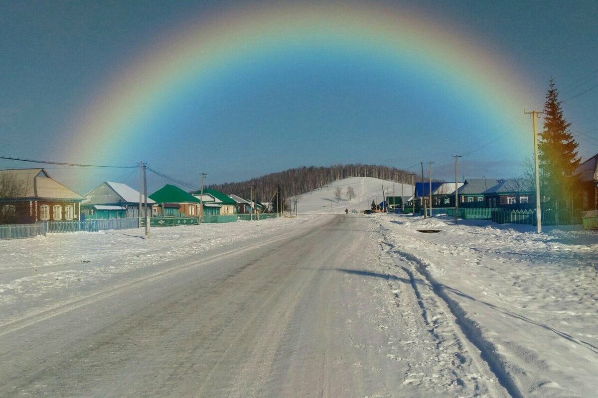 Яндекс- картинки