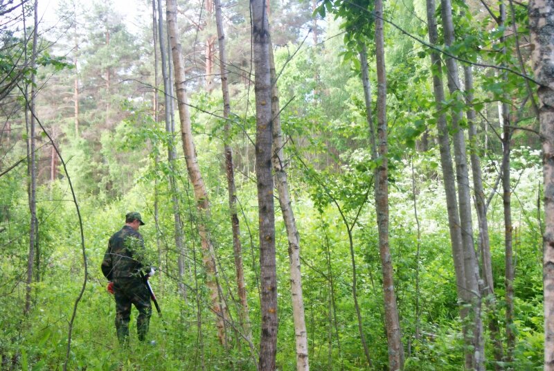 В Тверской области под Конаково в лесу обнаружено тело женщины – СК ведет проверку