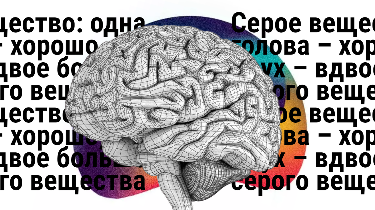 Серое вещество: одна голова – хорошо, а в двух – вдвое больше серого  вещества | Royal Medical Traiding | МЕДИЦИНА И ТЕХНИКА | Дзен