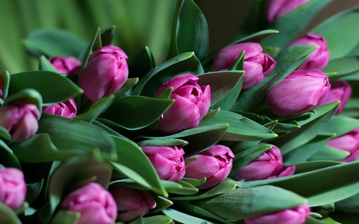 Фото из интернета