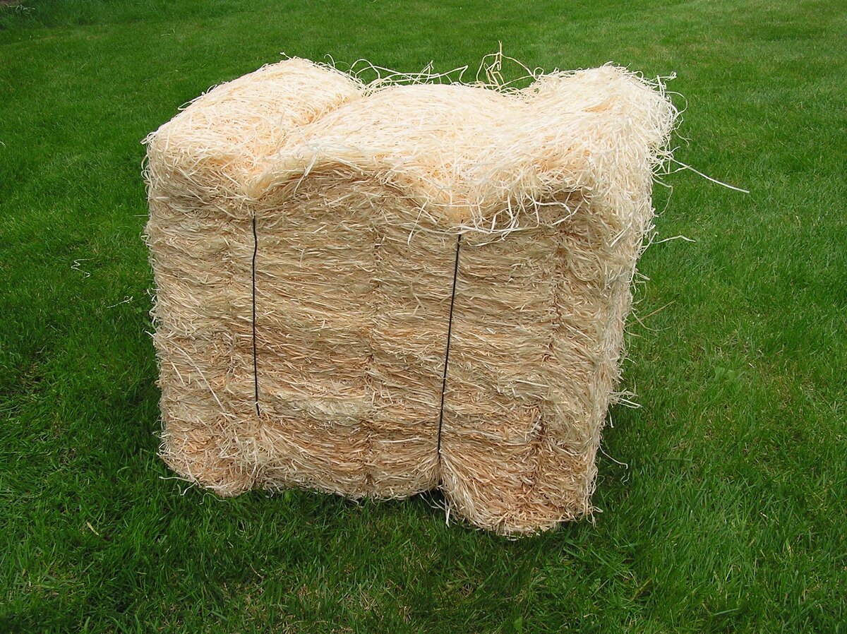 волосатое дерево сладков. шерсть дерева. шерсть дерева. шерсть дерева. древесная шерсть.