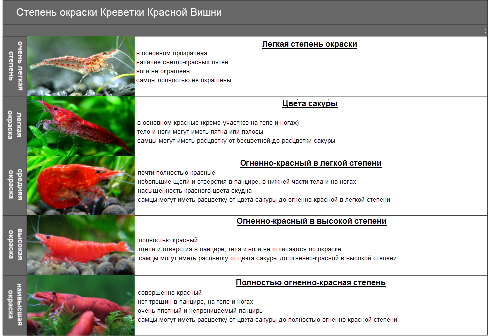 Вот такие они разные(:
